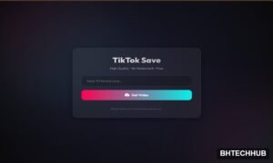 TikTok video downloader without watermark